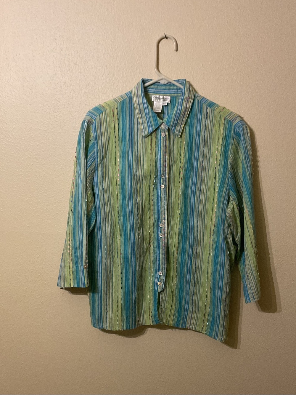 Coldwater Creek Striped Button-Up Blouse in Blue and Green
